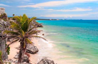 Palmiye ağaçları, deniz, güneş, plaj. Karayip denizi, Tulum, Yucatan. Mexi