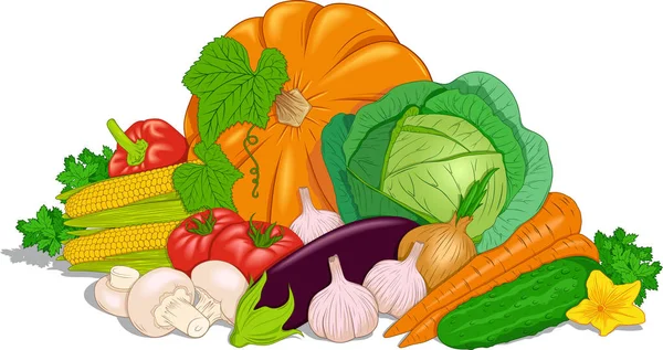 Vector Composition Vegetables Topic Food Healthy Eating Stock Vector