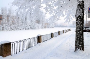 Kar-beyaz kış city. Ağaçlar parlak kar ile kaplı. Güzel kış manzaraları.