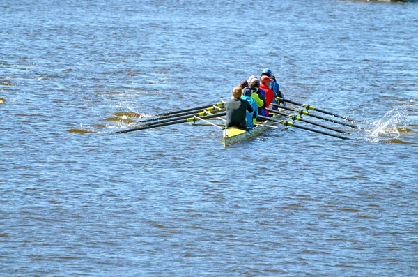 Rowers Spor Tekne Içinde Oluşan Bir Ekip Eğitim Nehrin Üzerinde — Stok fotoğraf