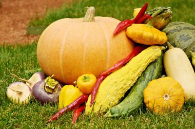 Olgun meyve ve sebzelerin sonbaharda. Onlar alanlardan toplanan vardır. Hasat zamanıdır..