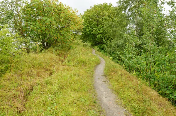 Der Park Ist Ruhig Und Friedlich Sie Können Sich Inmitten — Stockfoto