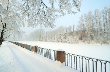 Doğal peyzaj Park.On yere ve ağaçlar kar çok. Güzel ve soğuk kış.