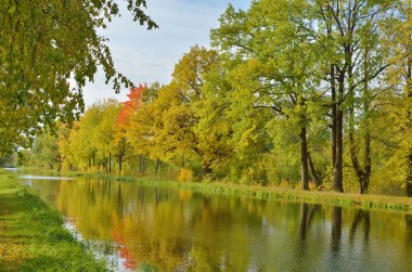 Park.The yaprakları ağaçlarda sonbahar manzara çok renkli bir renk var.