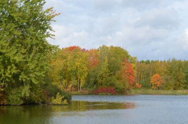 Park.The yaprakları ağaçlarda sonbahar manzara çok renkli bir renk var.