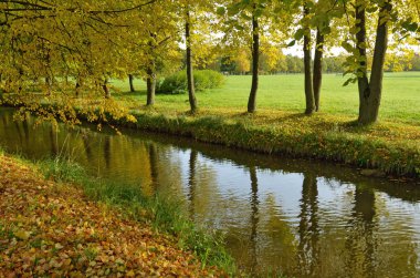Park.The yaprakları ağaçlarda sonbahar manzara çok renkli bir renk var.