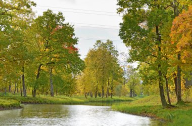 Park.The yaprakları ağaçlarda sonbahar manzara çok renkli bir renk var.