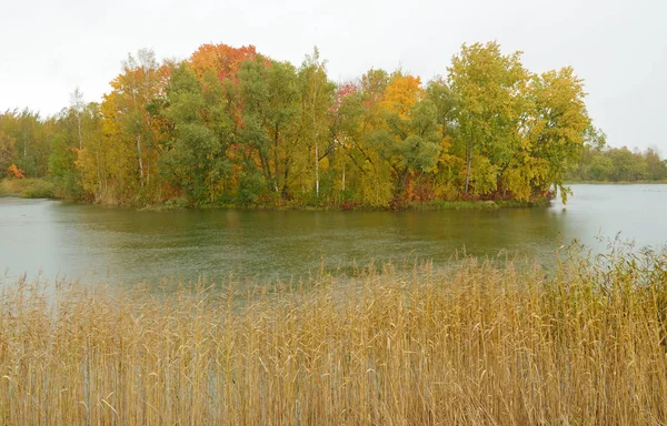 Autumn landscape in the Park.The leaves on the trees have a multicolored color.