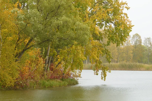 Herbstlandschaft Park Die Blätter Den Bäumen Haben Eine Bunte Farbe — Stockfoto