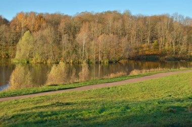 Sonbaharda güzel renkler. Renkli yaprakları ağaçların asmak.