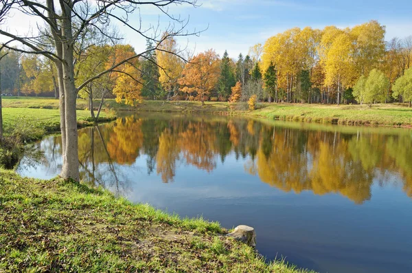 Herbstlandschaft Park Die Blätter Den Bäumen Haben Eine Bunte Farbe — Stockfoto