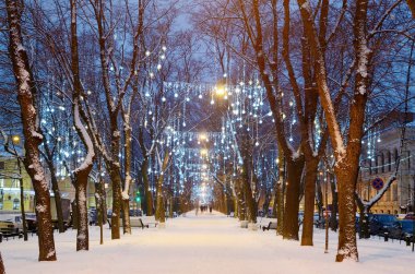 Işık aydınlatmaları ağaçlarda. Şehir daha önce çok süslemeleri.