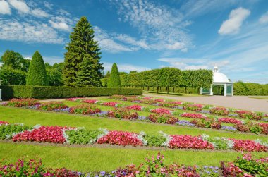 Güzel çiçekler ile flowerbed. Karşı mavi gökyüzü bulutlu.