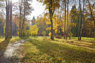Park.Dry çim sonbahar manzara rüzgarda virajlı.