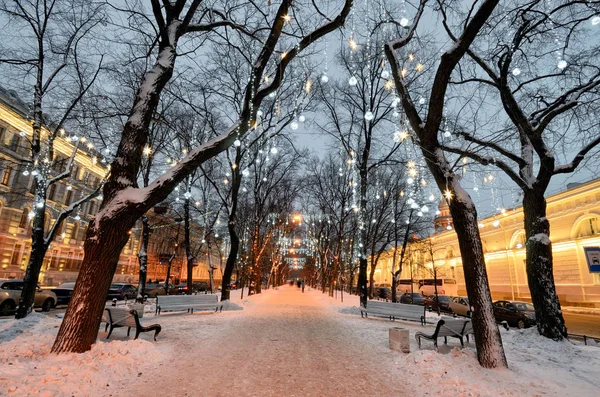 Lichterketten Bäumen Schmücken Die Stadt Vor Weihnachten — Stockfoto