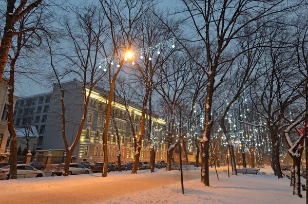 Illuminations Lumineuses Sur Les Arbres Alors Décorez Ville Avant Noël — Photo