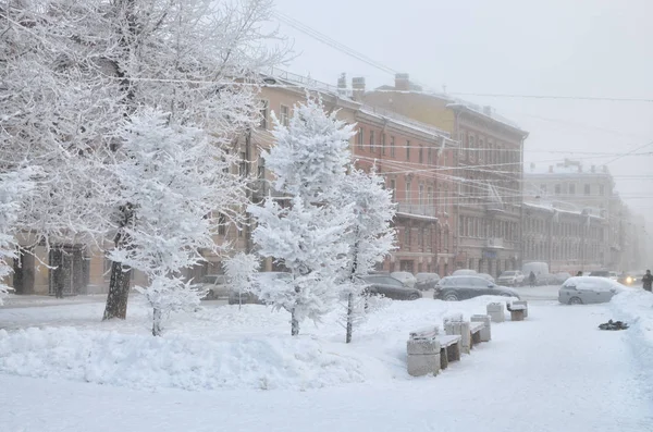 Inverno Branco Neve Cidade Árvores São Cobertas Com Neve Brilhante — Fotografia de Stock