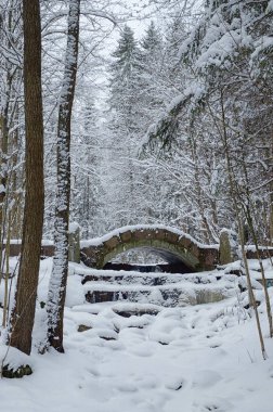 Doğal peyzaj Park.On yere ve ağaçlar kar çok. Güzel ve soğuk kış.