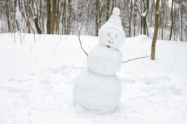 Boneco Neve Unido Por Crianças Este Passatempo Inverno Tradicional — Fotografia de Stock