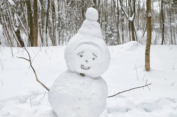 雪人被孩子们拼凑在一起 这种传统的冬季消遣 — 图库照片