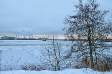 Doğal peyzaj Park.On yere ve ağaçlar kar çok. Güzel ve soğuk kış.