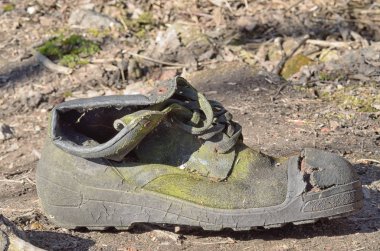 Çöpe atılmış eski ayakkabılar. Kurtulmuş olmalı..