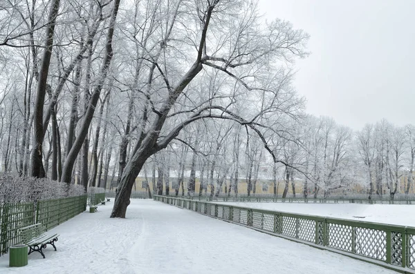 Park Der Stadt Winter Die Bäume Sind Kahl Ohne Blätter — Stockfoto