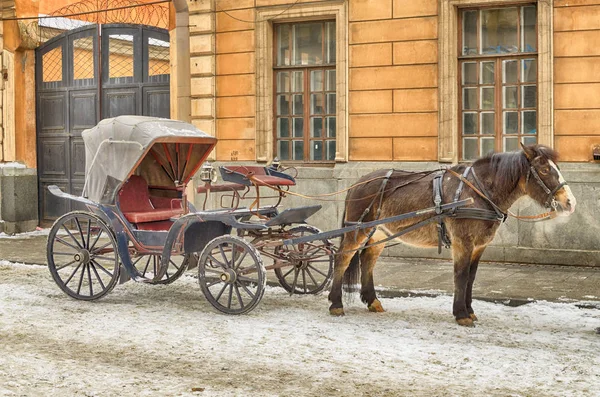 Pferdeschlitten Warten Auf Die Fahrgäste Eine Art Taxi Den Alten — Stockfoto