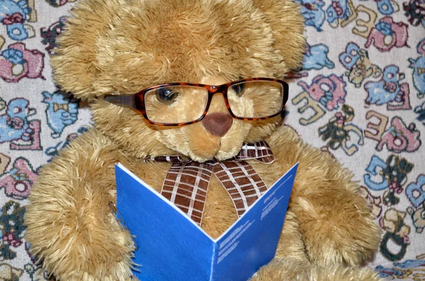 Teddy Bear Sul Divano Sta Leggendo Libro Interessante — Foto Stock