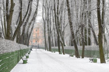 Kış city Park. Ağaçların yaprakları çıplak.