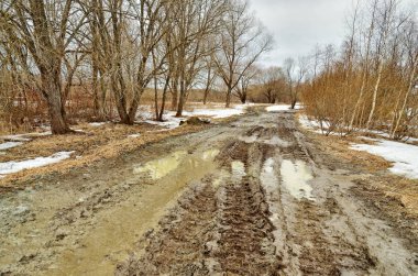 Kırık yol ormanın içinde. Çamur karıştırma taşıma, yol gider.