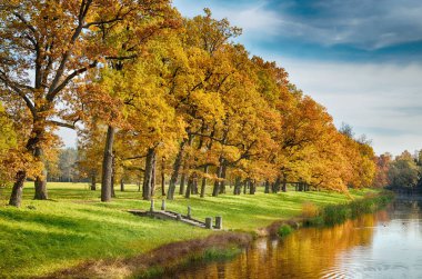 Parkta sonbahar manzarası.