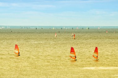 Bir rüzgar sörfçüsü körfezde yelken açıyor..