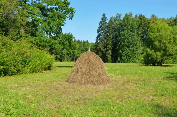 Een stapel droog hooi in het veld. — Stockfoto