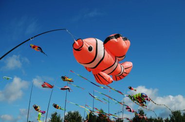 Uçurtma ile mutlu tatiller.