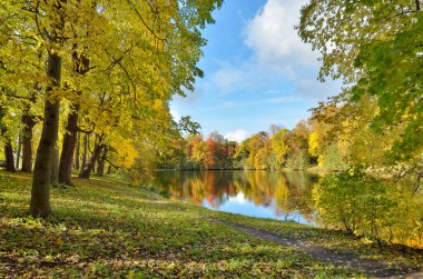 Parkta sonbahar manzarası.