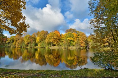 Parkta sonbahar manzarası.