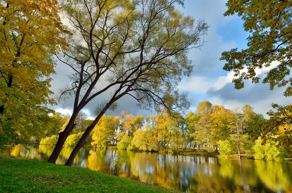 Herbstlandschaft im Park. — Stockfoto