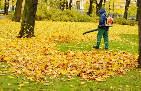 Empresa de limpieza de trabajadores. Recoge hojas caídas . — Foto de Stock