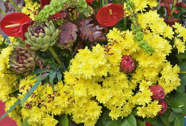 Kasımpatılarla çiçek aranjmanı. Bunlar güzel sonbahar çiçekleri..