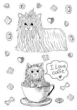 Yorkshire terrier çizimi 