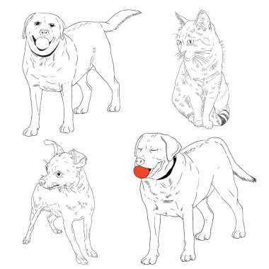 Vektör el farklı doğurmak ve kedi köpek çizilen illüstrasyon