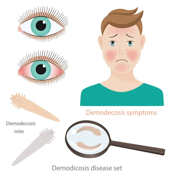 Démodex-02 — Image vectorielle