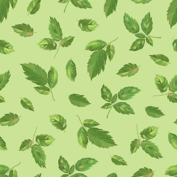 Οργανική Συλλογή Διάνυσμα Φύλλα Βατόμουρο Αδιάλειπτη Μοτίβο Ένα Ανοιχτό Πράσινο — Διανυσματικό Αρχείο