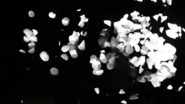 mat veya geçiş veya bindirme efektleri düzenlemek için maske olarak siyah su kullanılabilir üzerine beyaz düşünceler