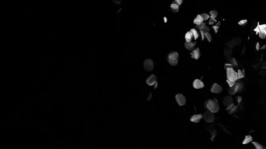 mat veya geçiş veya bindirme efektleri düzenlemek için maske olarak siyah su kullanılabilir üzerine beyaz düşünceler