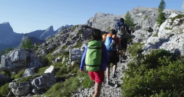 Quatro amigos caminhando ao longo do caminho da trilha. Grupo de amigos pessoas viagem de aventura de verão na natureza da montanha ao ar livre. Viajar explorando Alpes, Dolomitas, Itália. 4k câmera lenta 60p vídeo — Vídeo de Stock