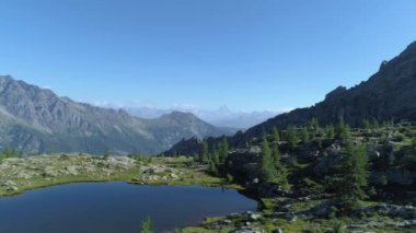 İlerlemeye açık mavi Gölü ve çam ormanları güneşli yaz günde. Avrupa İtalya Alps Valle daosta açık yeşil doğa scape dağlar yabani hava establisher.4k drone uçuş atış kurulması
