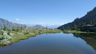 yan açık mavi Gölü ve çam ormanları yukarıda güneşli yaz günü içinde hareket. Avrupa İtalya Alps Valle daosta açık yeşil doğa scape dağlar yabani hava establisher.4k drone uçuş atış kurulması