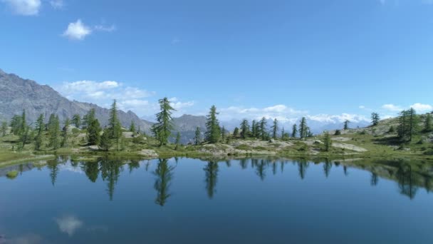 Andando avanti sopra limpido lago blu e pinete in soleggiata giornata estiva.Europa Italia Alpi Valle dAosta verde esterno natura paesaggio montagne selvaggio aerea stabiler.4k volo drone stabilire colpo — Video Stock